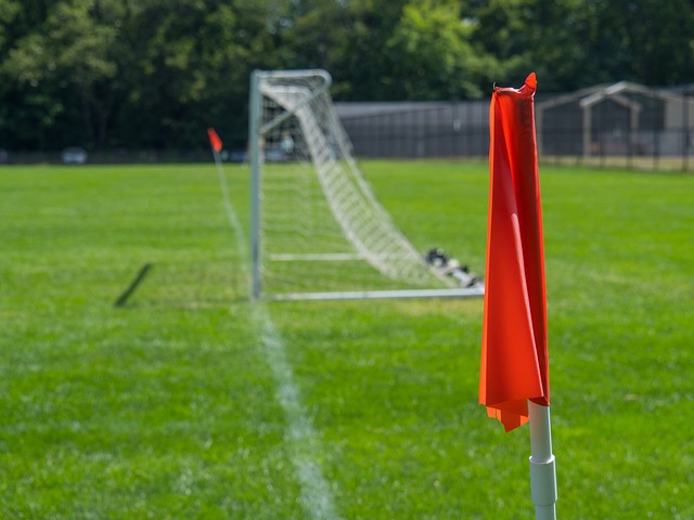 阵容背后的 阵容背后的