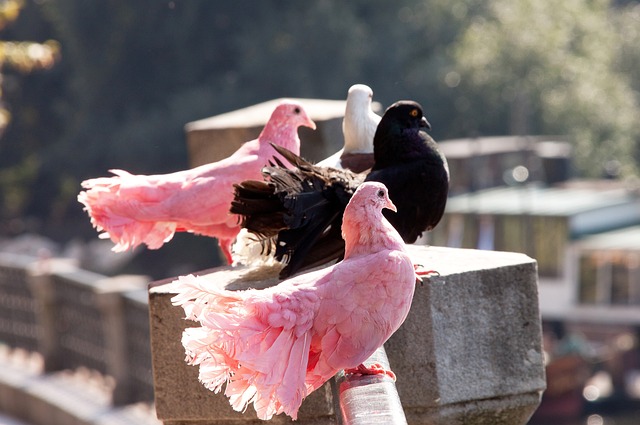 我们可以看 我们可以看