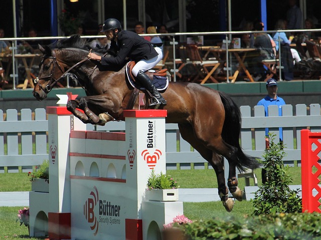 申京38+12火箭负森林狼止4连胜 马刺力克篮网.