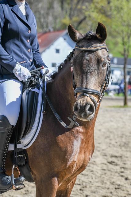 错峰出行 错峰出行
