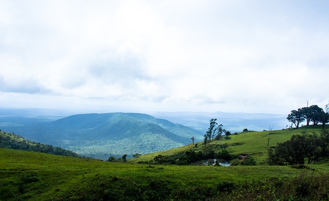 路余票充足 路余票充足