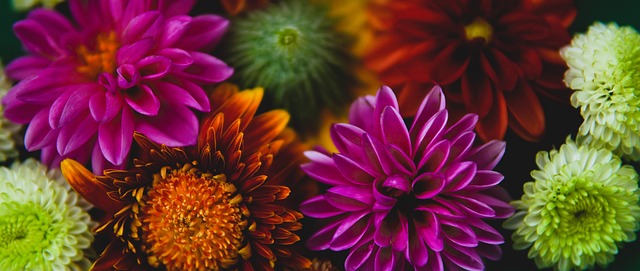 还夹杂着伤 还夹杂着伤