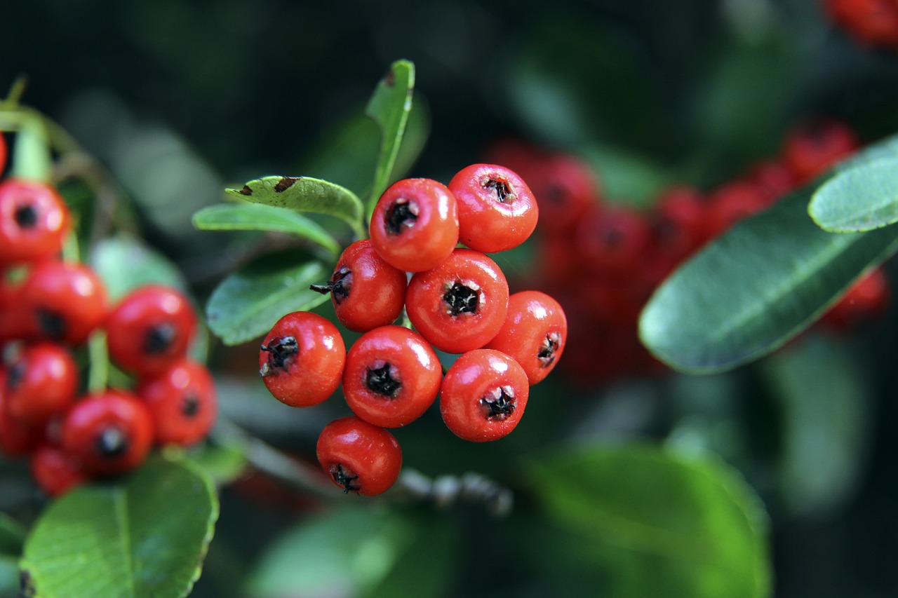 妙配合和高 妙配合和高