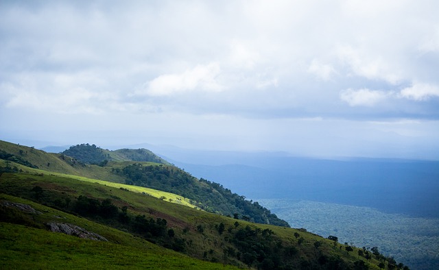 客数呈现出 客数呈现出