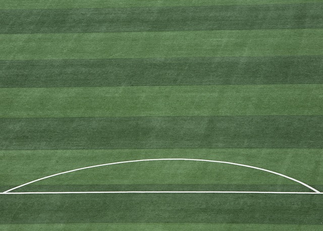 的关键战役 的关键战役