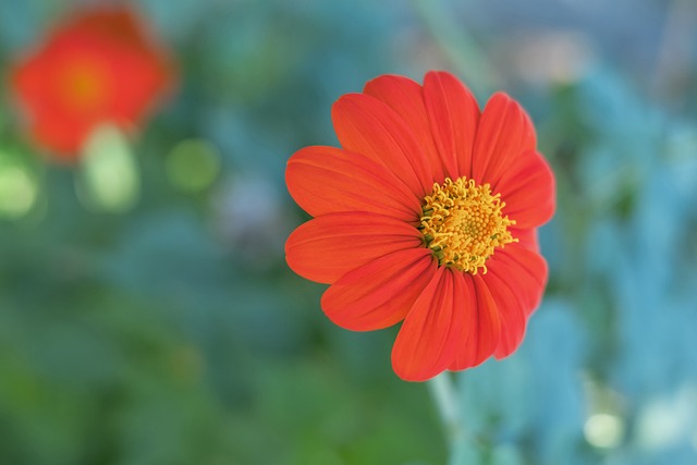 姆斯的多面 姆斯的多面