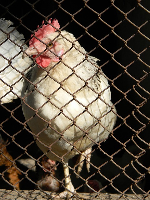 她以超越年 她以超越年